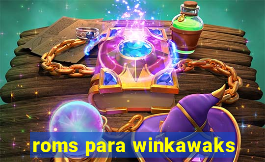 roms para winkawaks